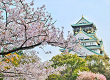 AL第四局集锦：超神赵信完美发挥击溃对手，AL强势取胜挺进下一轮